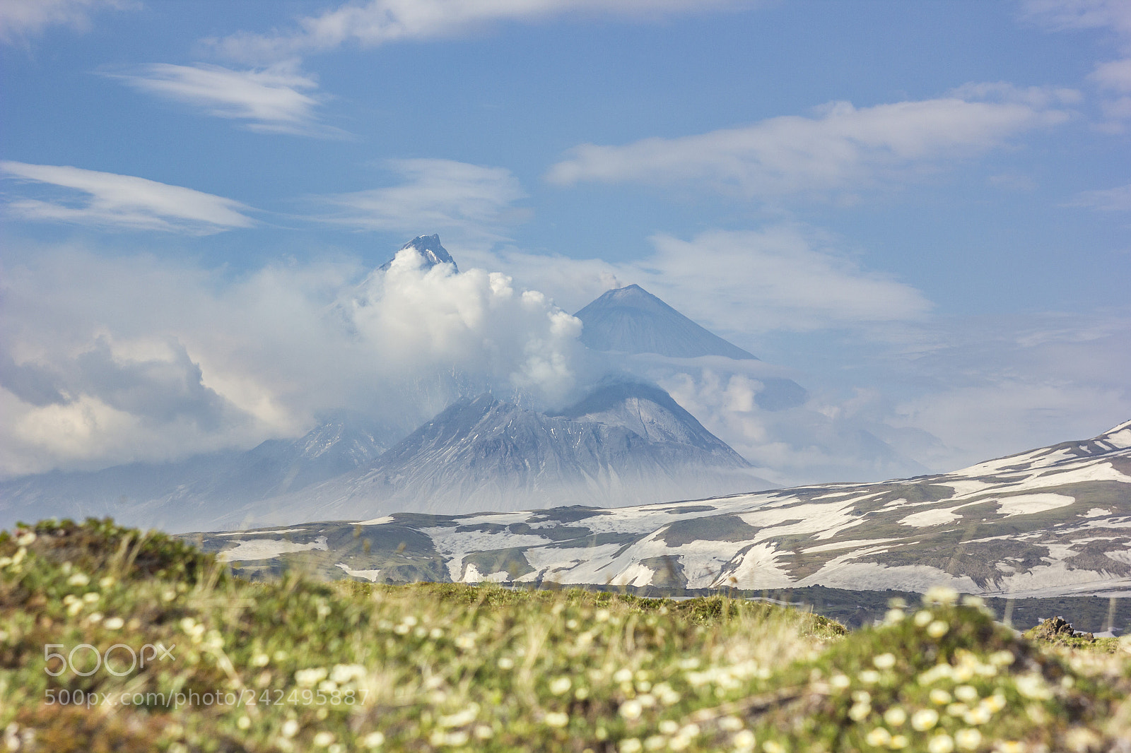 Canon EOS 550D (EOS Rebel T2i / EOS Kiss X4) sample photo. Flower field near volcanoes photography