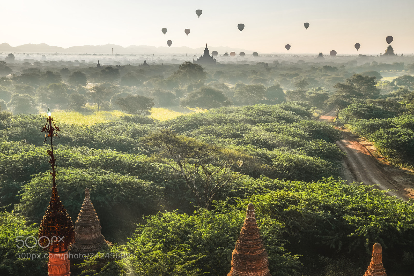 Nikon D610 sample photo. Balloon over bagan photography