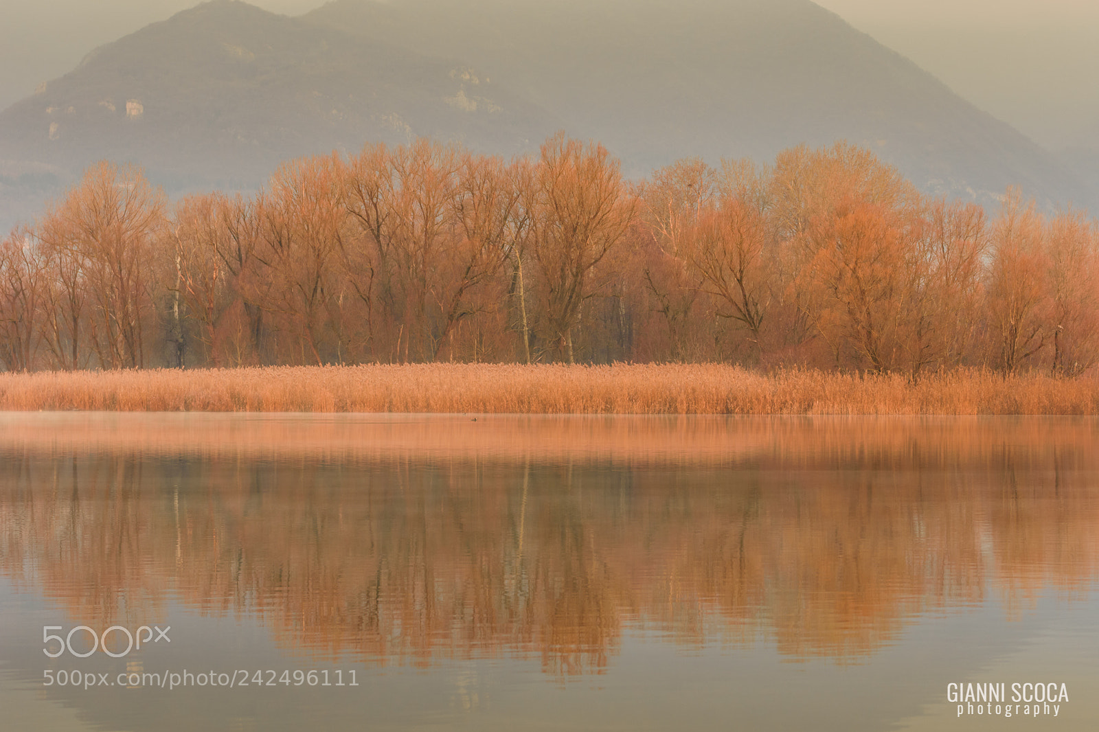 Nikon D7200 sample photo. Riflessioni photography