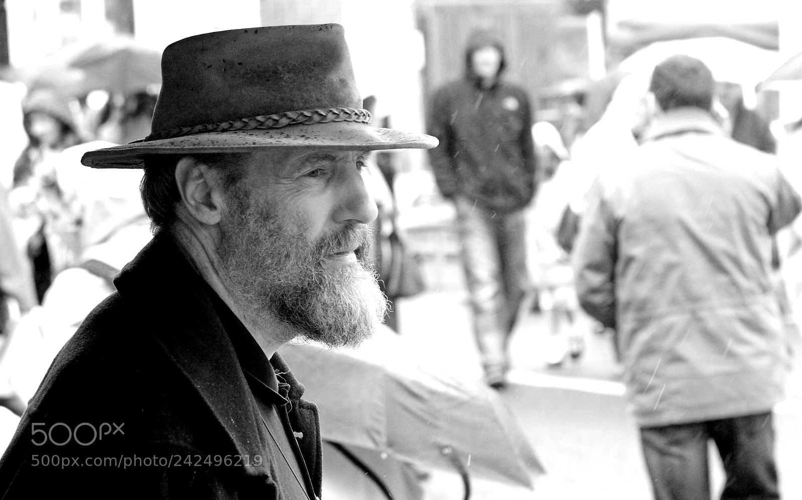 Canon EOS 40D sample photo. Beard photography