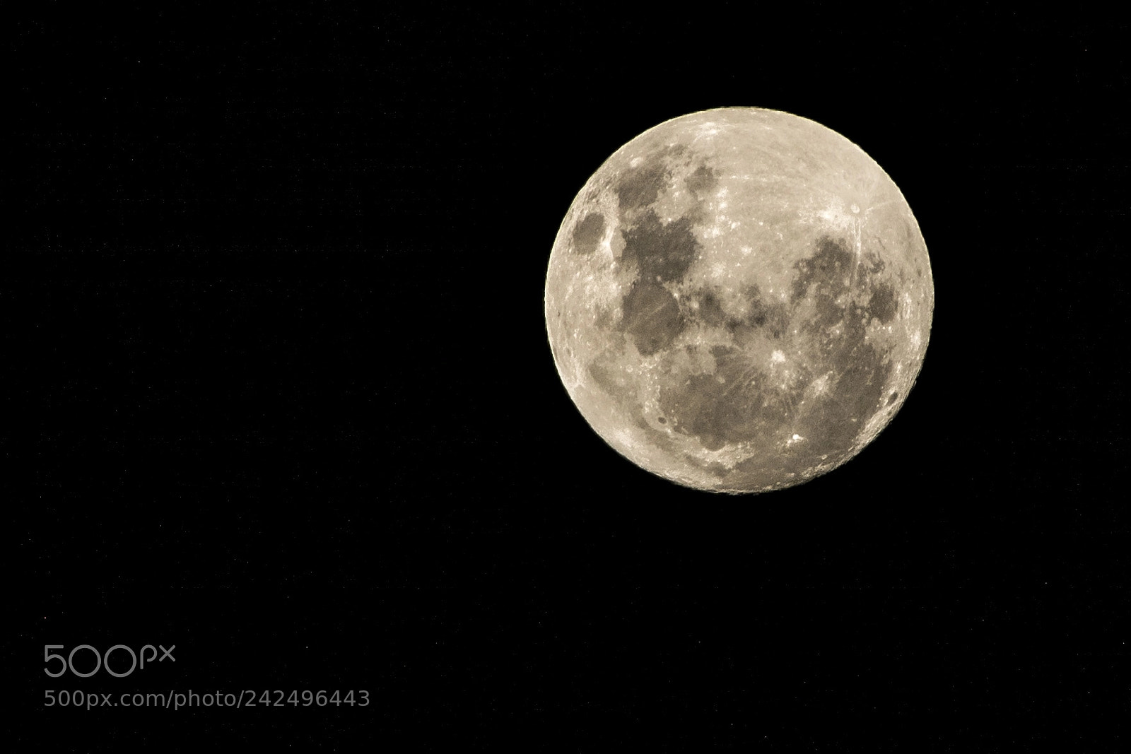 Nikon D7100 sample photo. Night photography photography