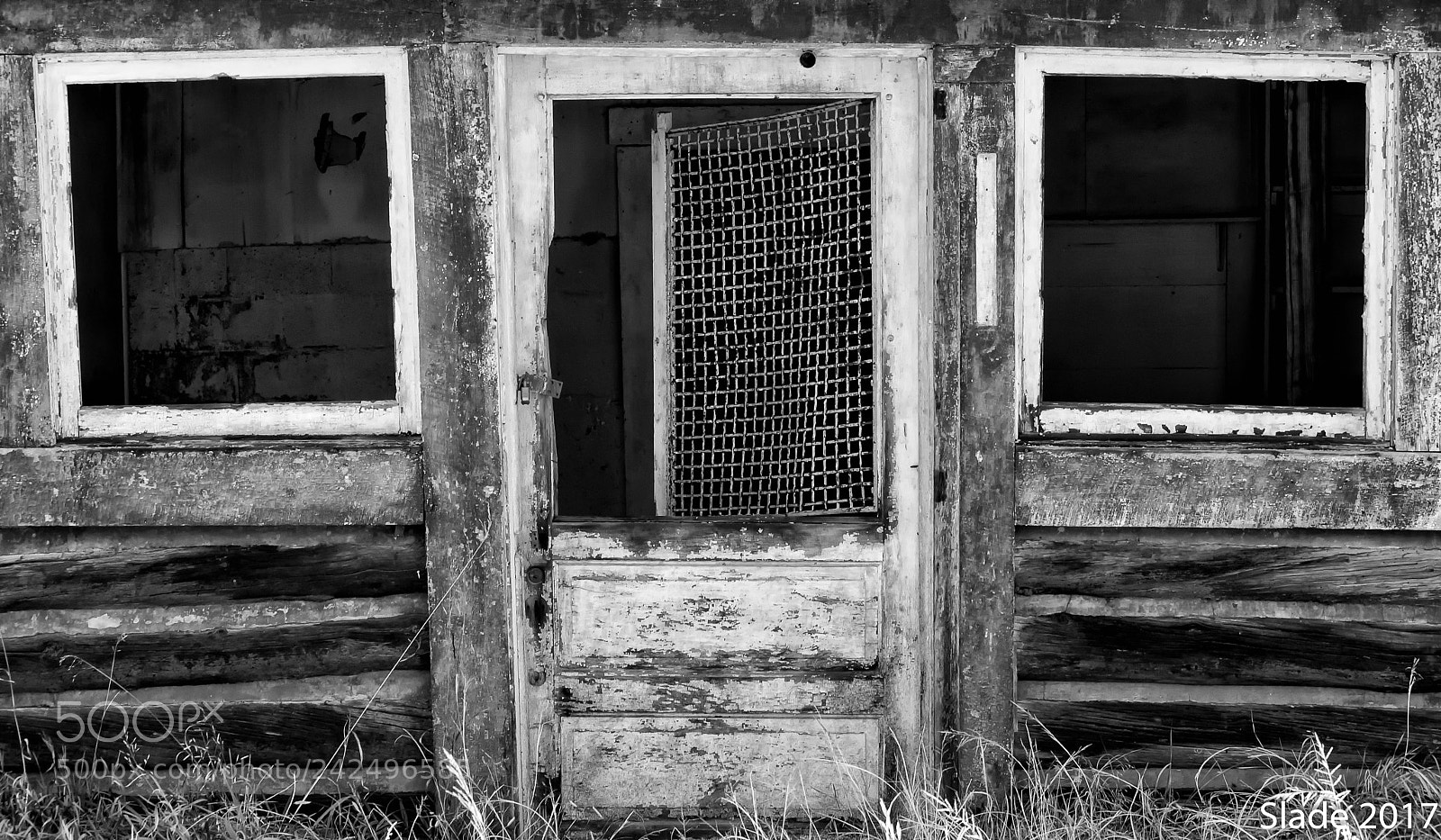 Nikon D5000 sample photo. Feeling a bit neglected photography