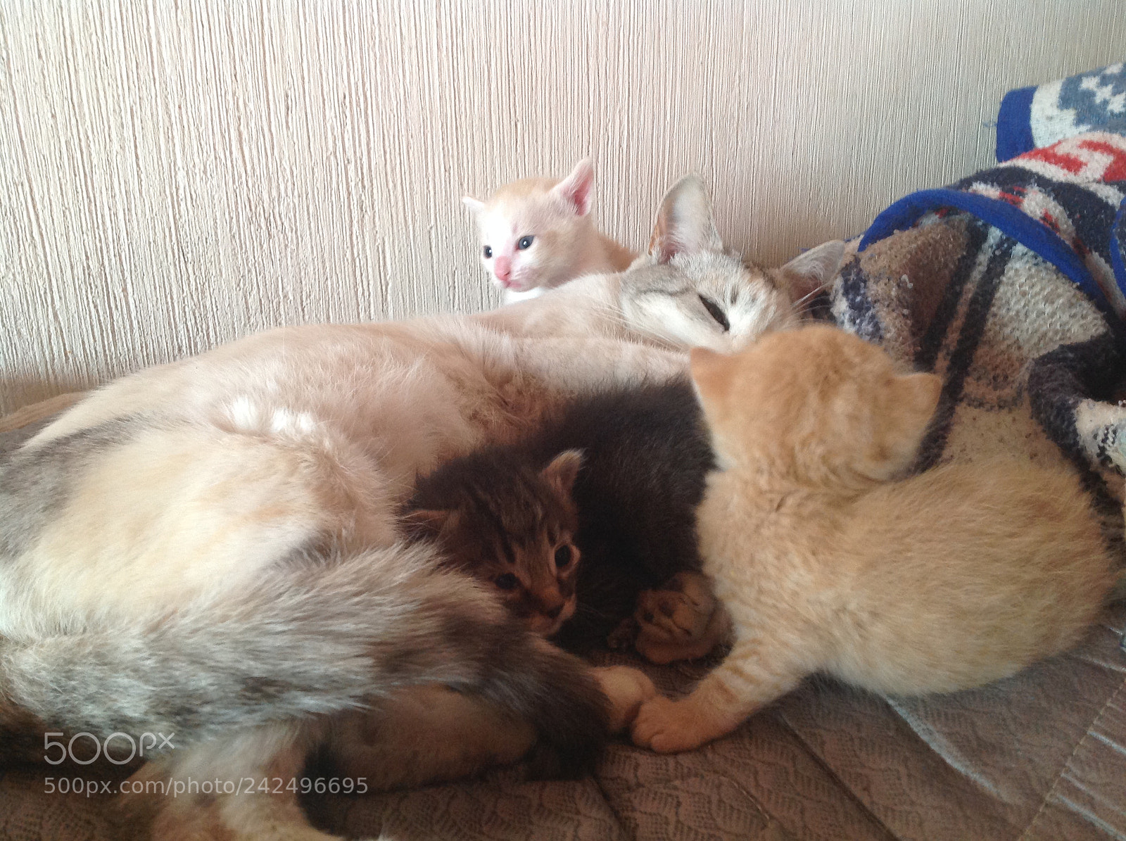 Apple iPad sample photo. Untitled photography