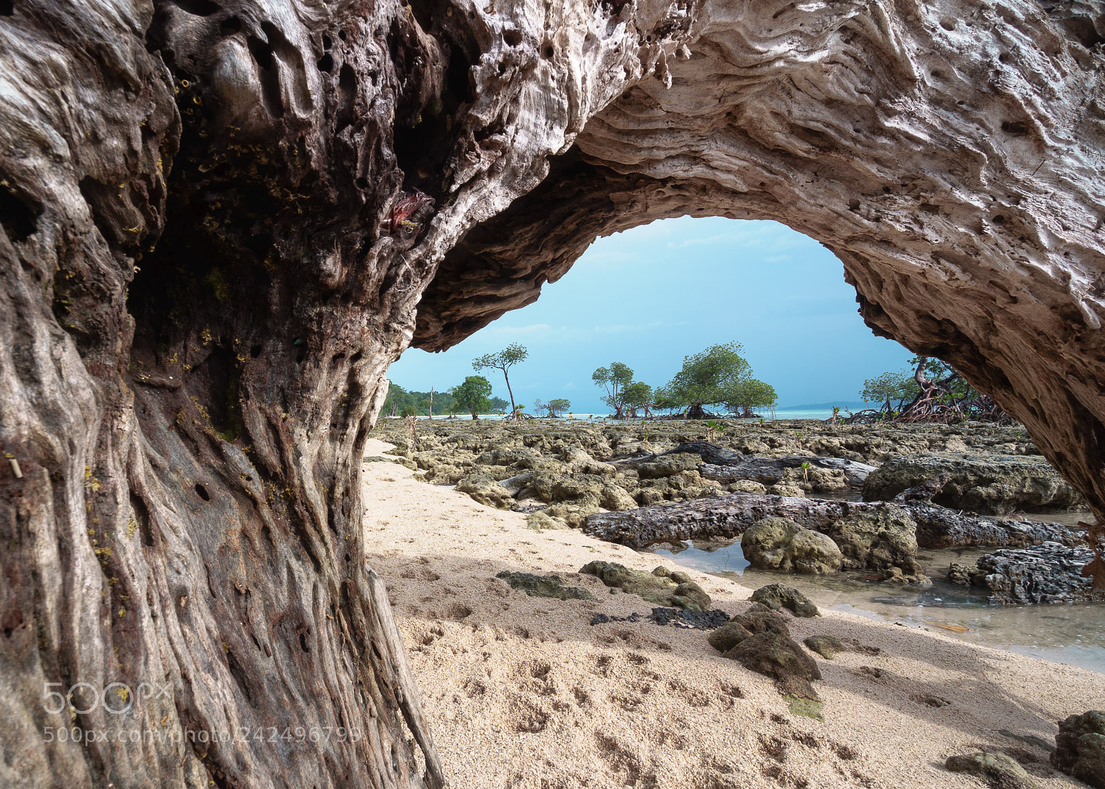 Sony a7 II sample photo. Phases photography