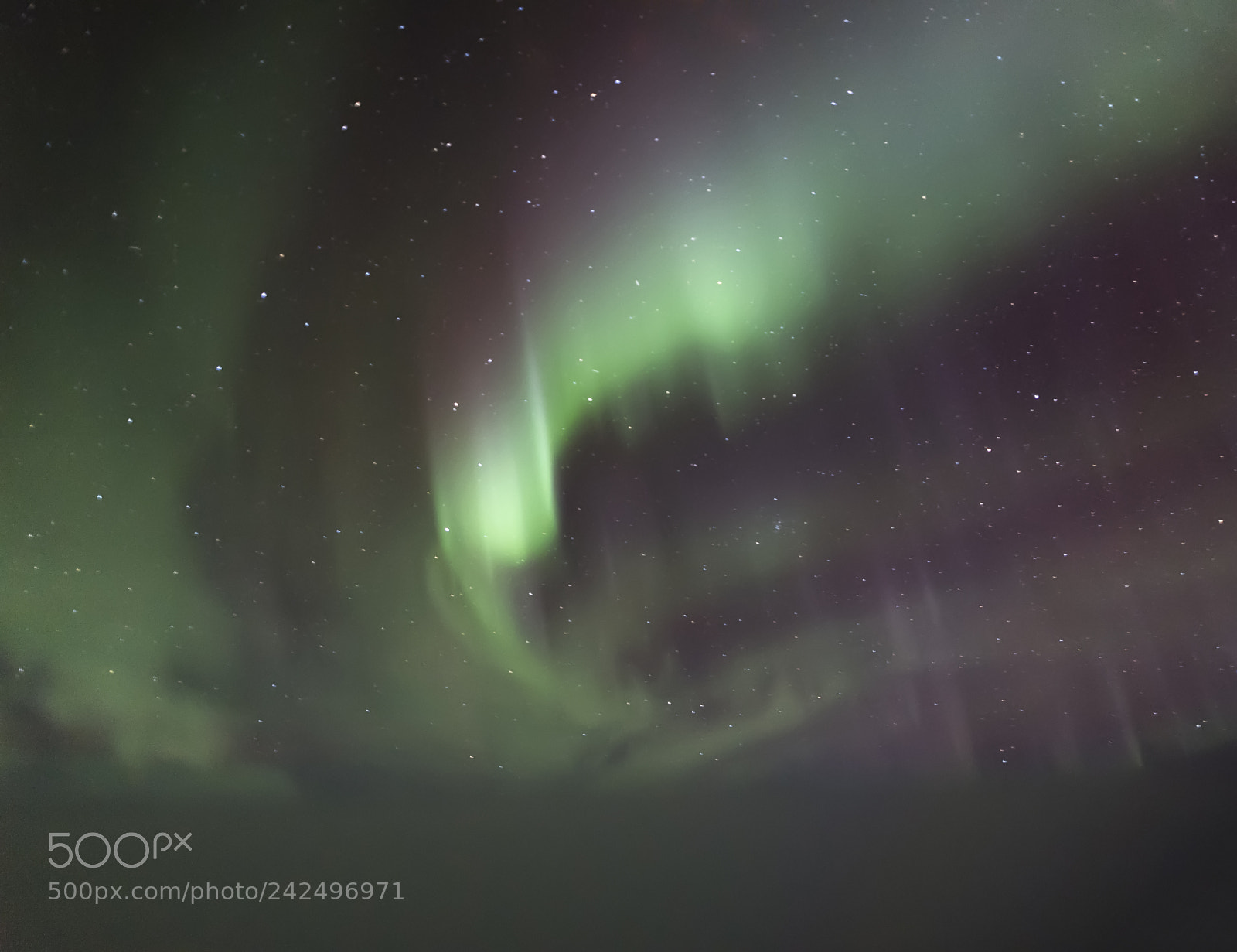 Nikon D5 sample photo. Aurora photography