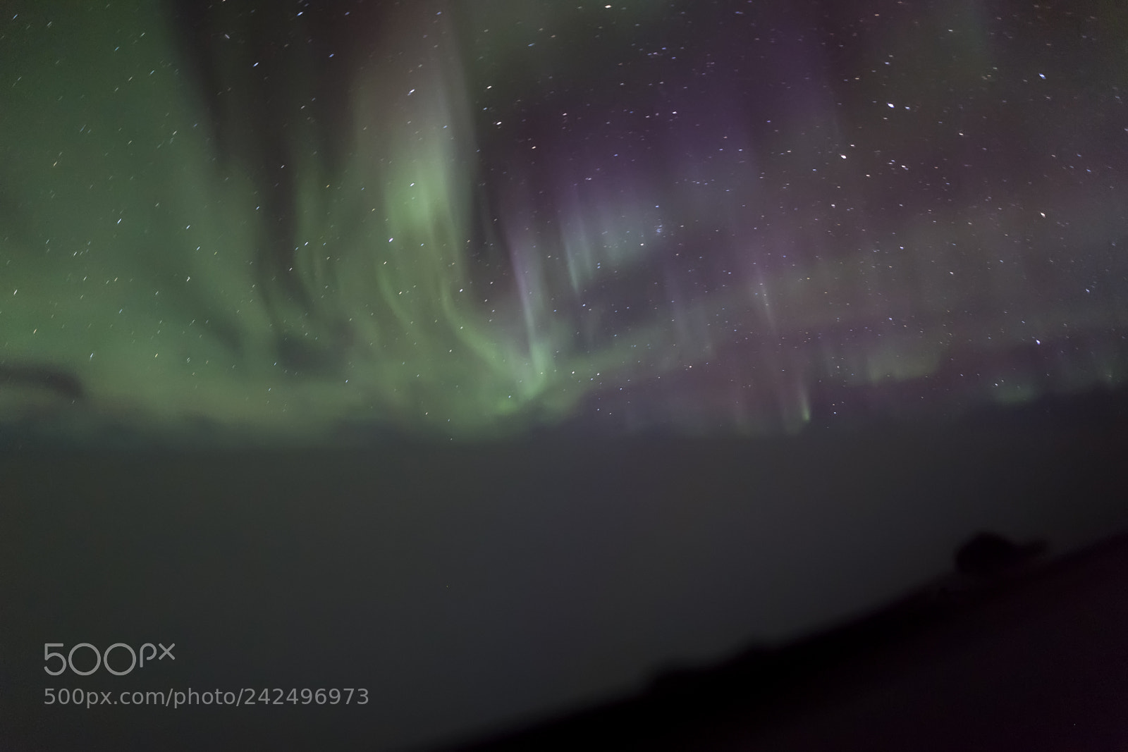 Nikon D5 sample photo. Aurora photography