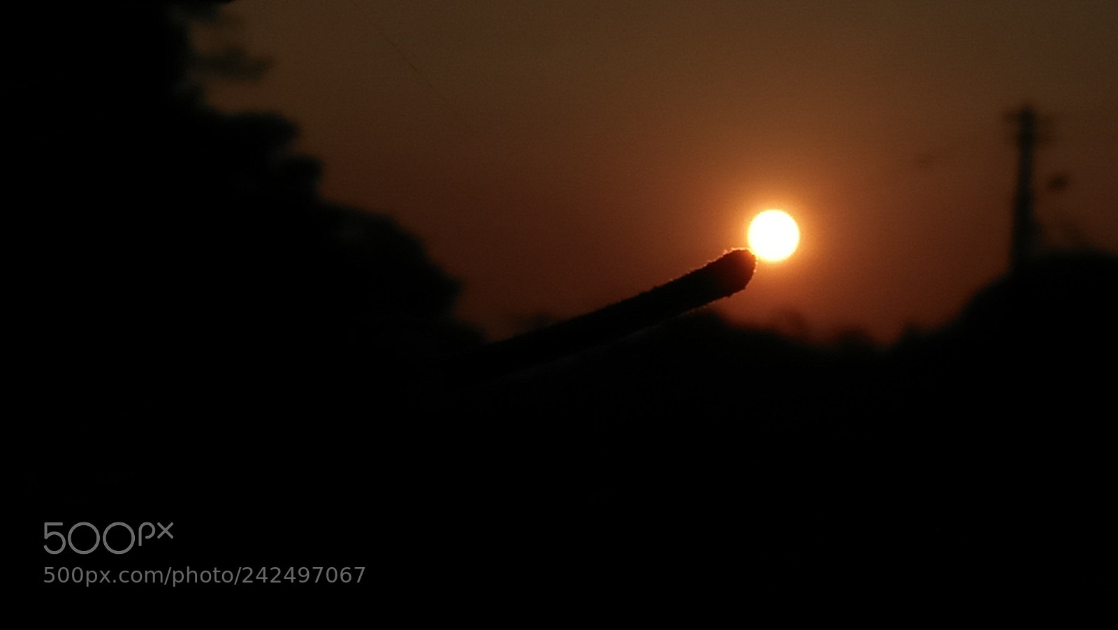 OPPO A37fw-International sample photo. Untitled photography