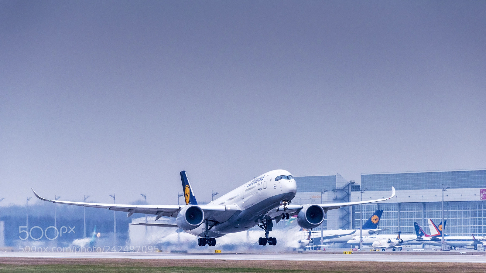 Nikon D810 sample photo. Airbus 350 photography