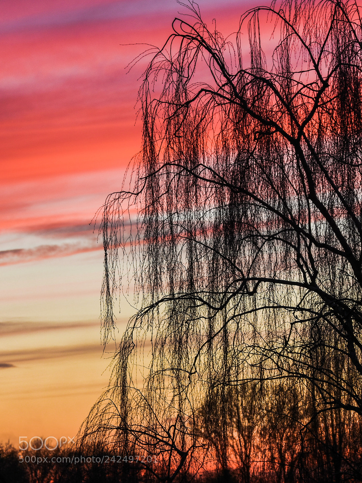 Nikon D7200 sample photo. Sunset colors photography