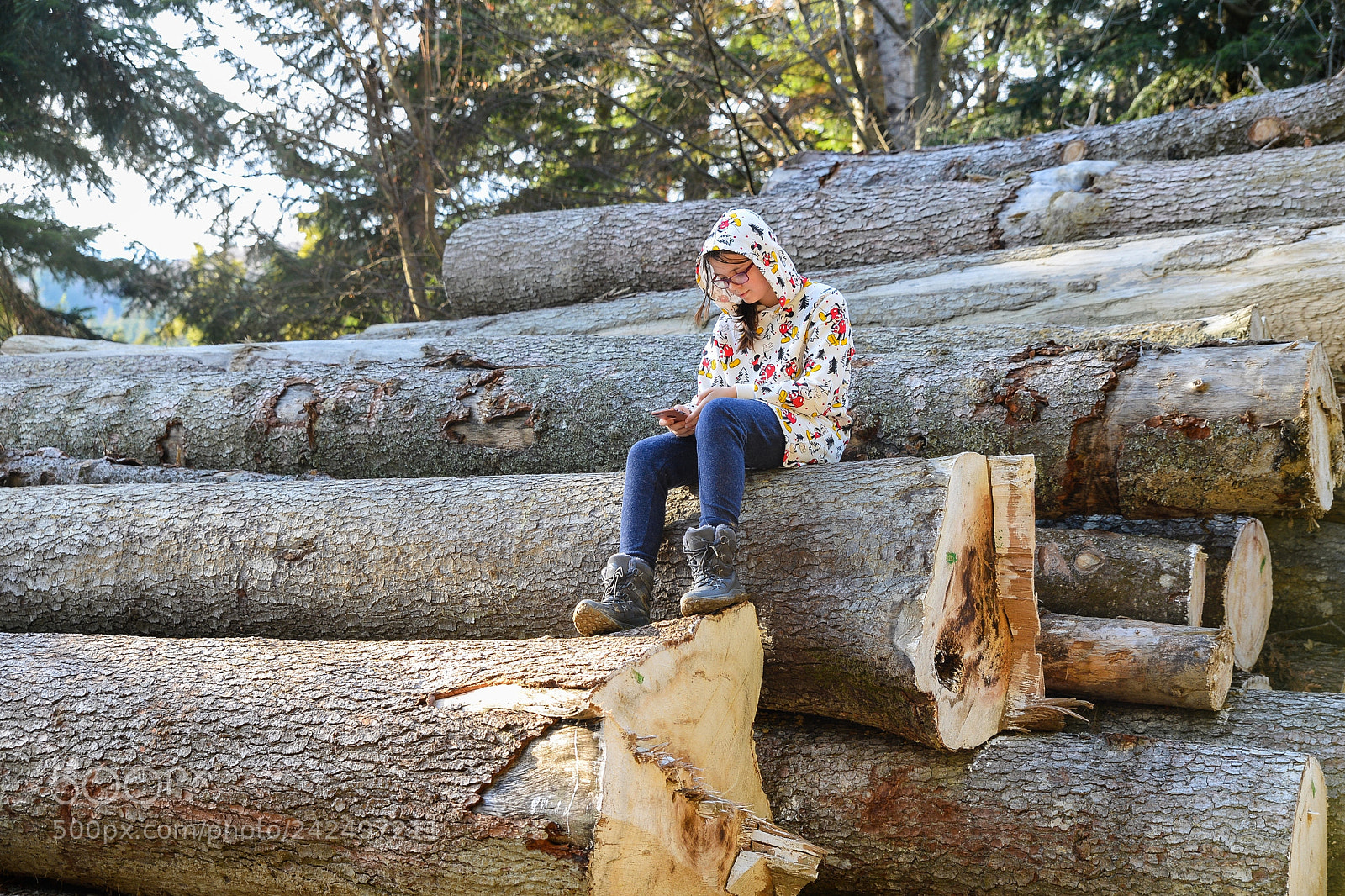 Nikon D610 sample photo. Loggin in photography