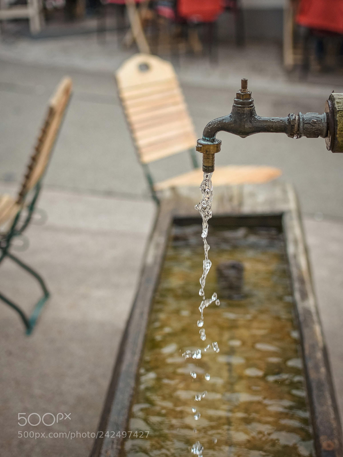 Nikon D7200 sample photo. Animal watering photography