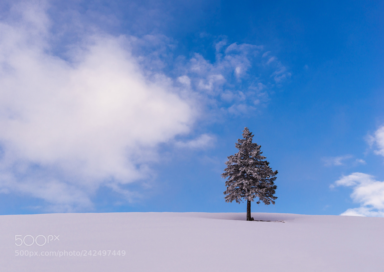 Nikon D610 sample photo. Winter minimalism photography
