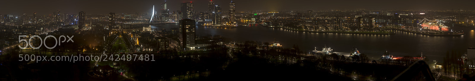 Nikon D600 sample photo. Panorama rotterdam euromast photography