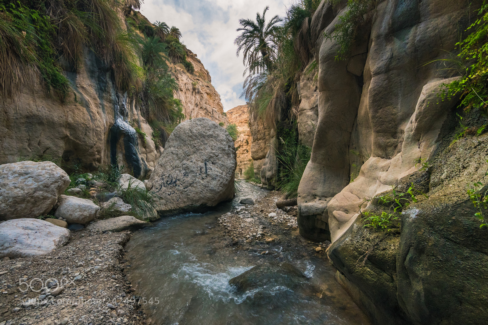 Nikon D500 sample photo. Water in the desert photography