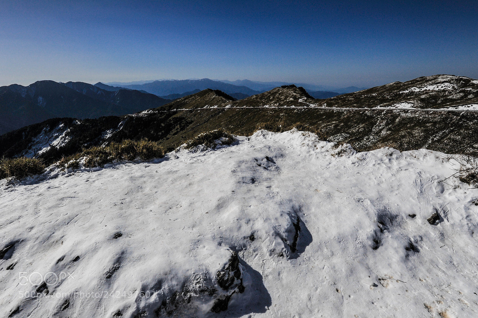 Nikon D3S sample photo. Untitled photography