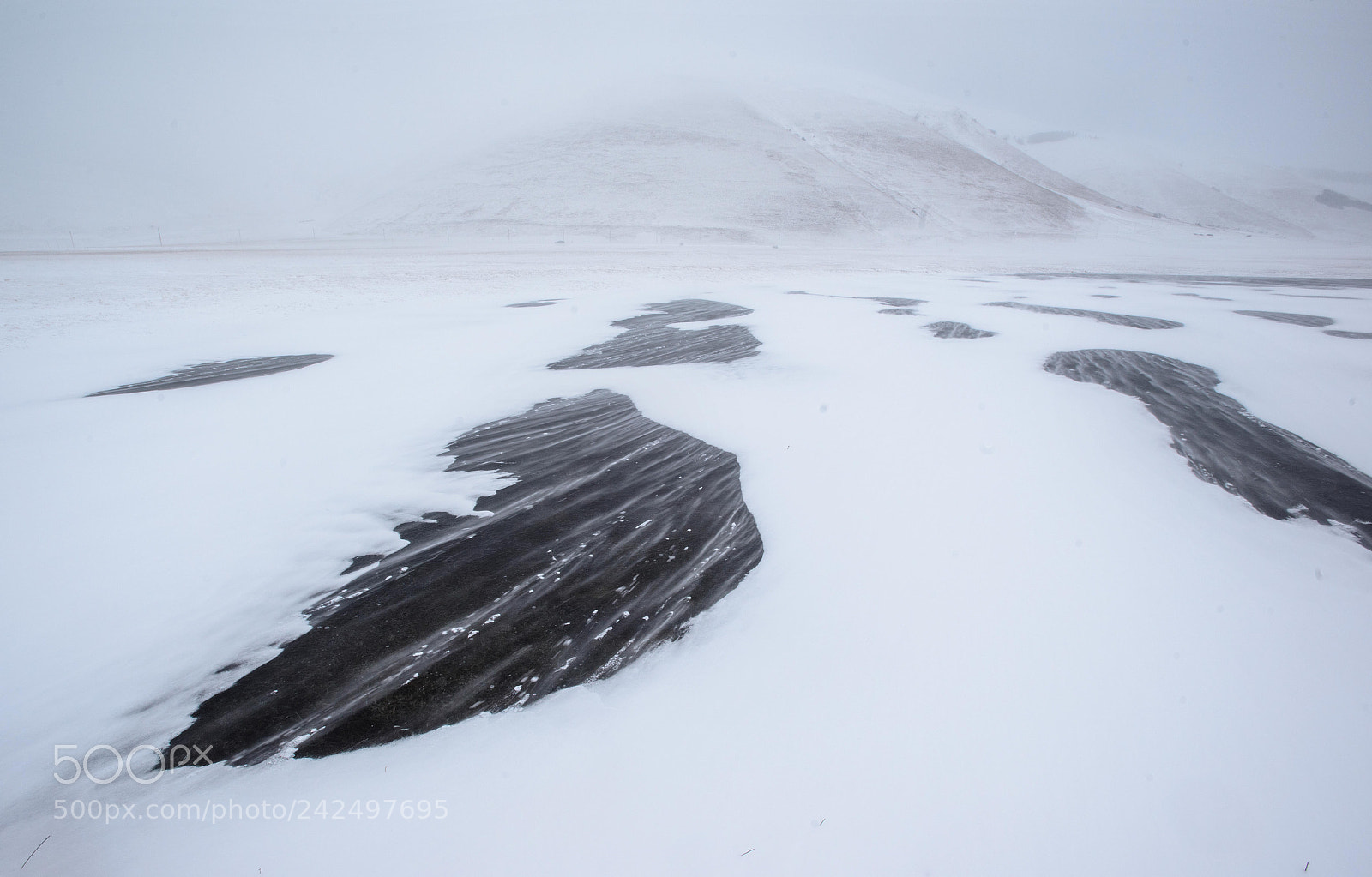 Nikon D800 sample photo. Blizzard photography