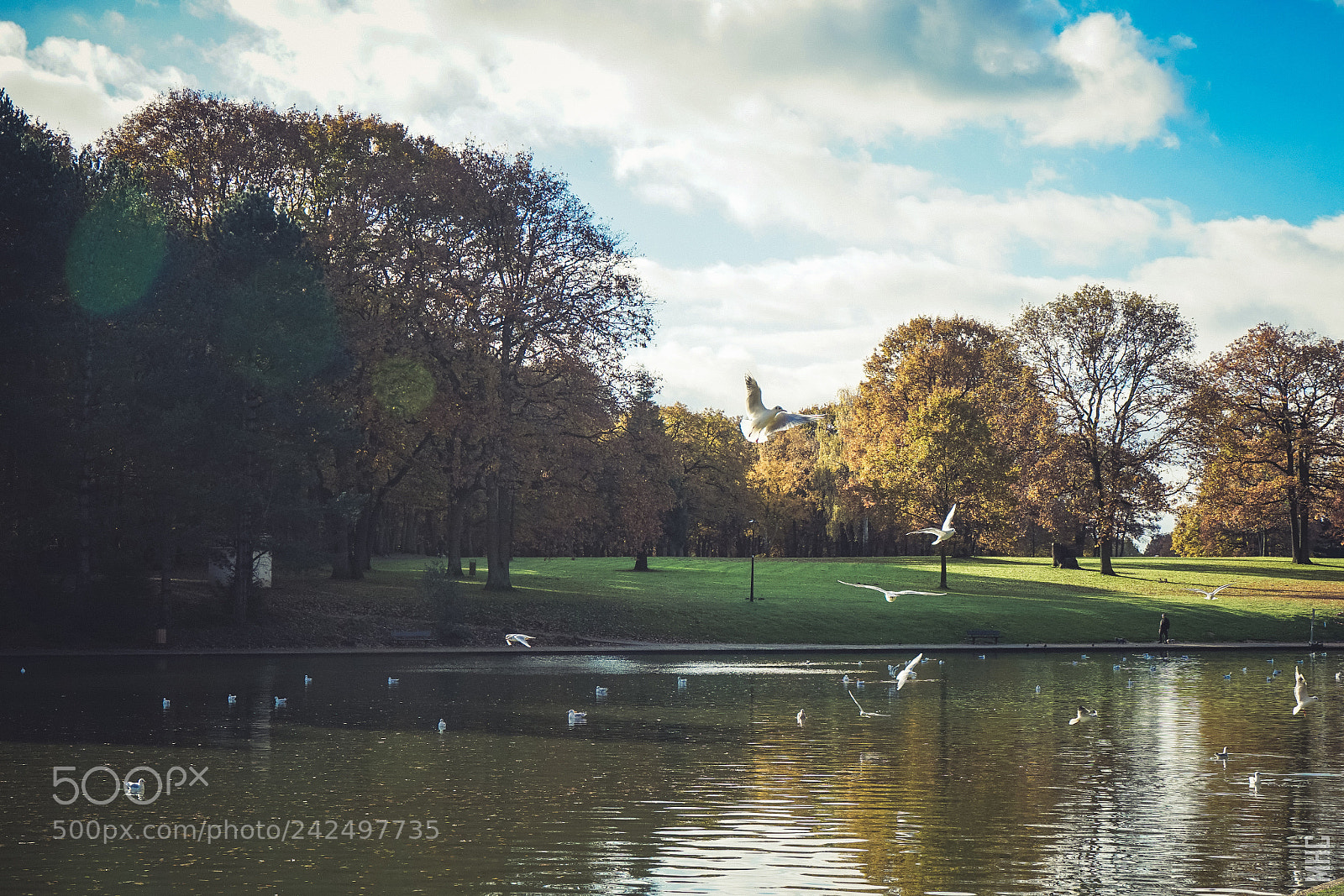 Sony a7 sample photo. Lieu de paix photography