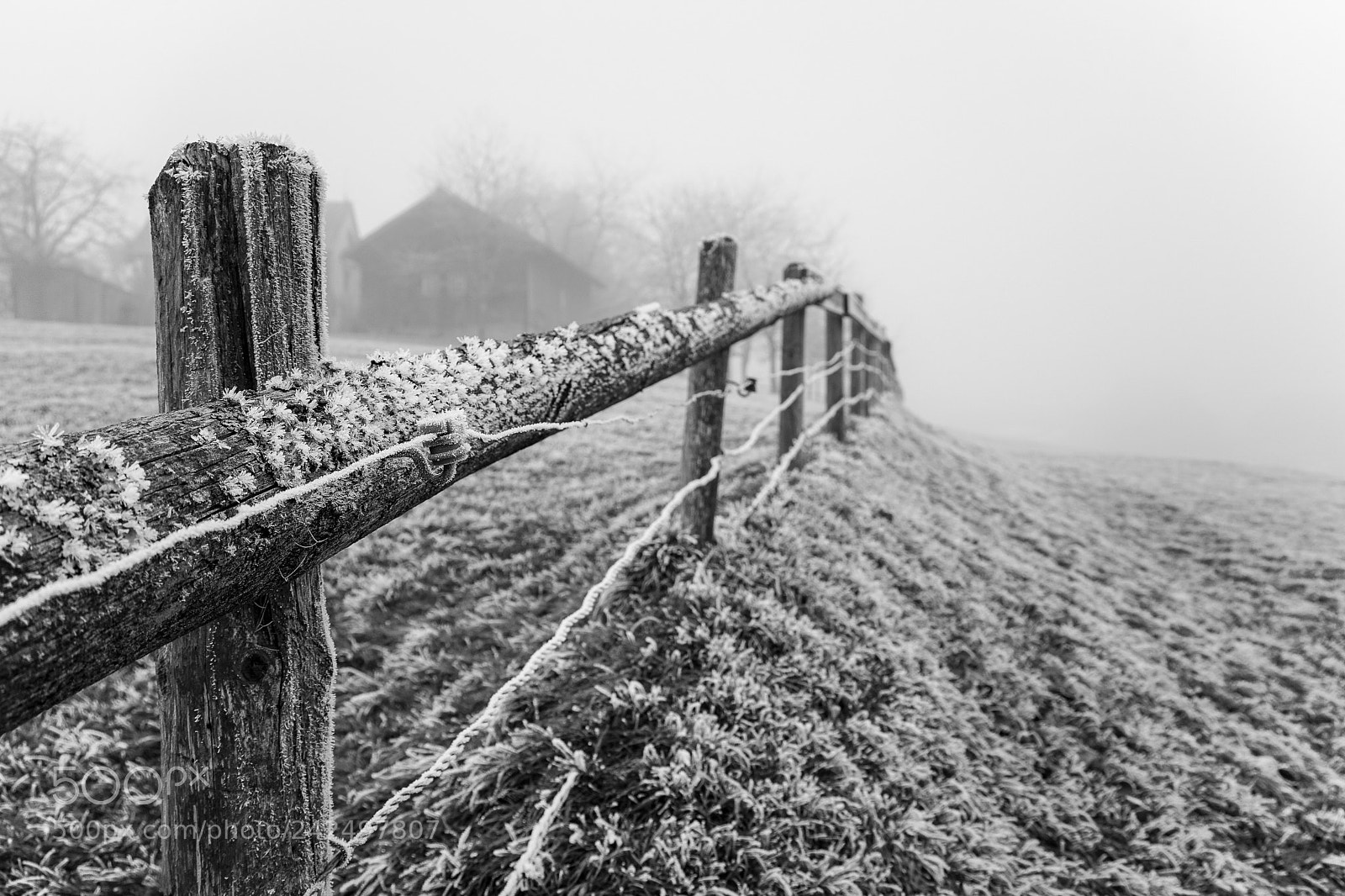 Sony a7 II sample photo. Haag um haag photography