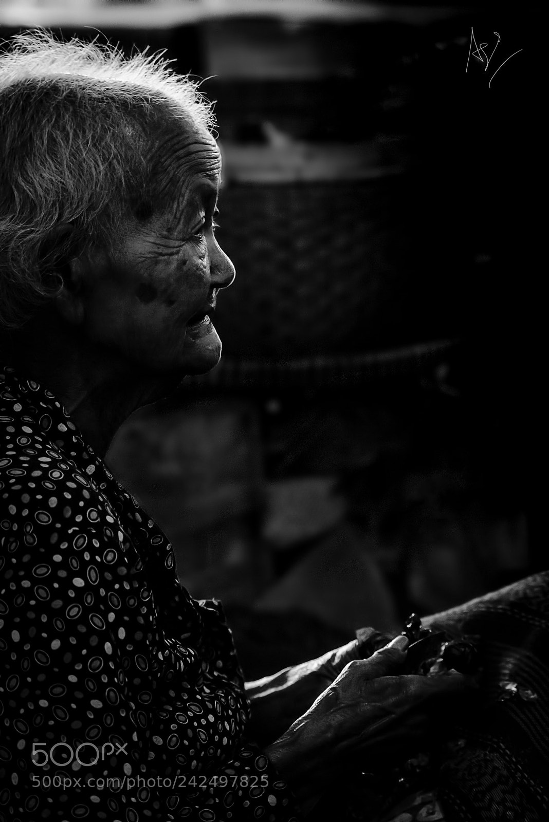 Nikon D810 sample photo. Old photography