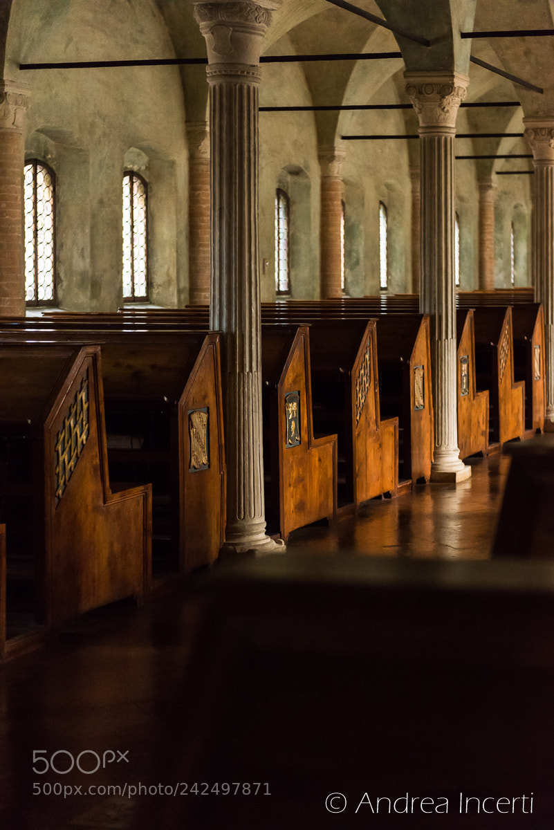 Nikon D810 sample photo. Ancient library photography