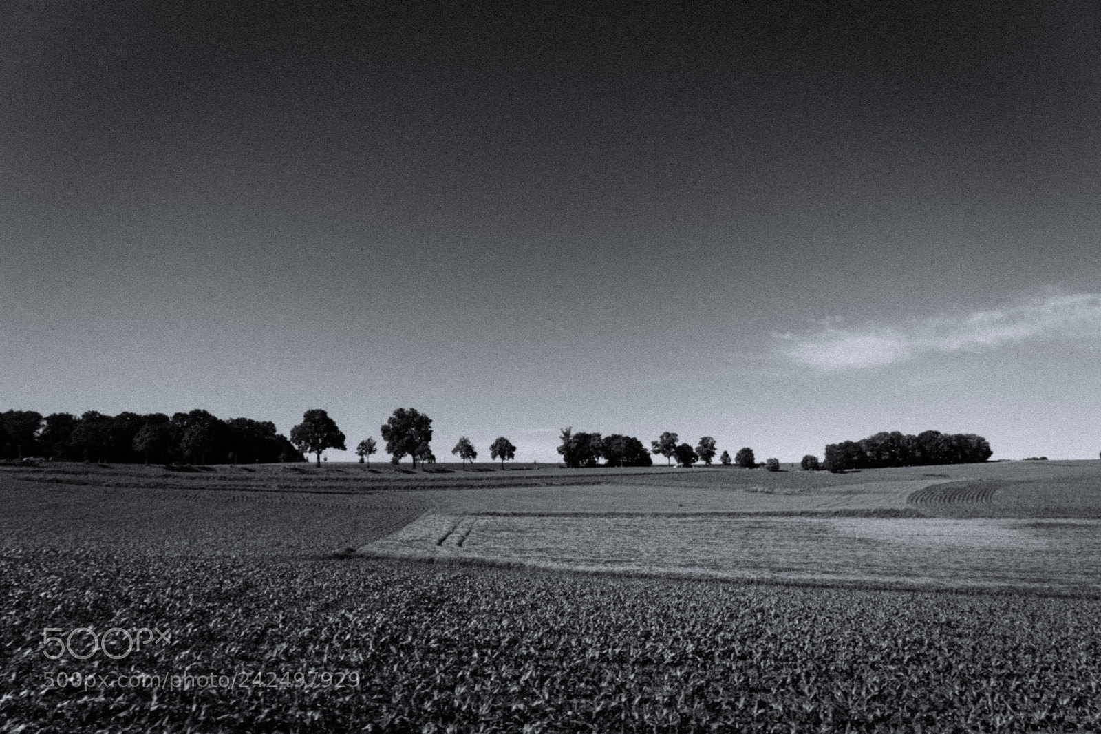 Sony SLT-A68 sample photo. Random bavarian landscapes photography