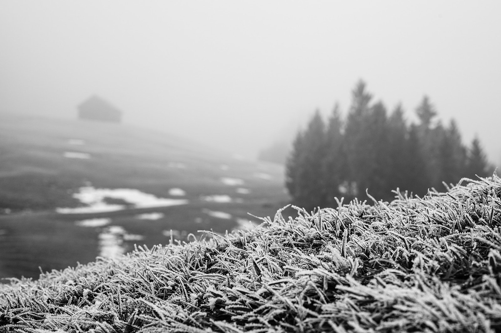 Sony a7 II sample photo. Winterwanderung photography