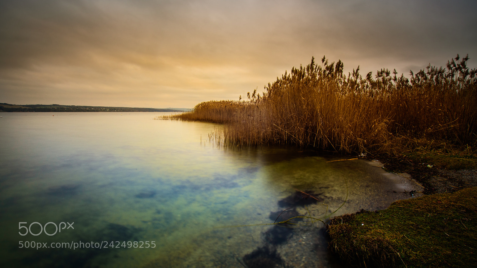 Nikon D7200 sample photo. Am ammersee photography