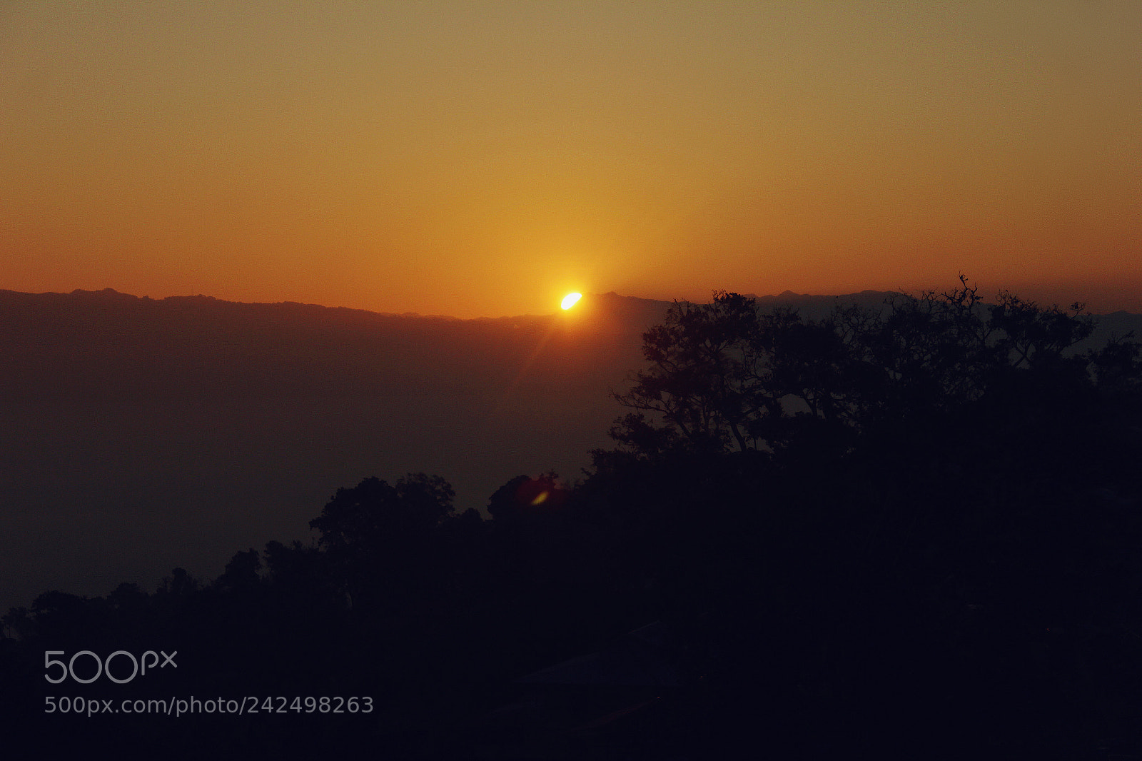 Canon EF-S 18-55mm F3.5-5.6 III sample photo. The first sunlight photography