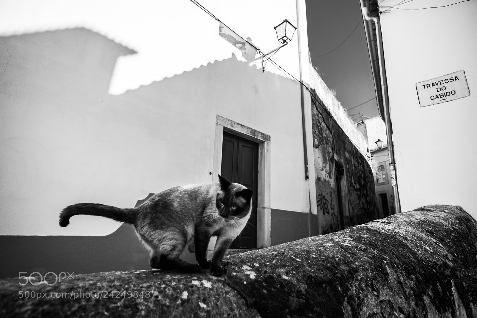 Fujifilm X-Pro2 sample photo. Local photography