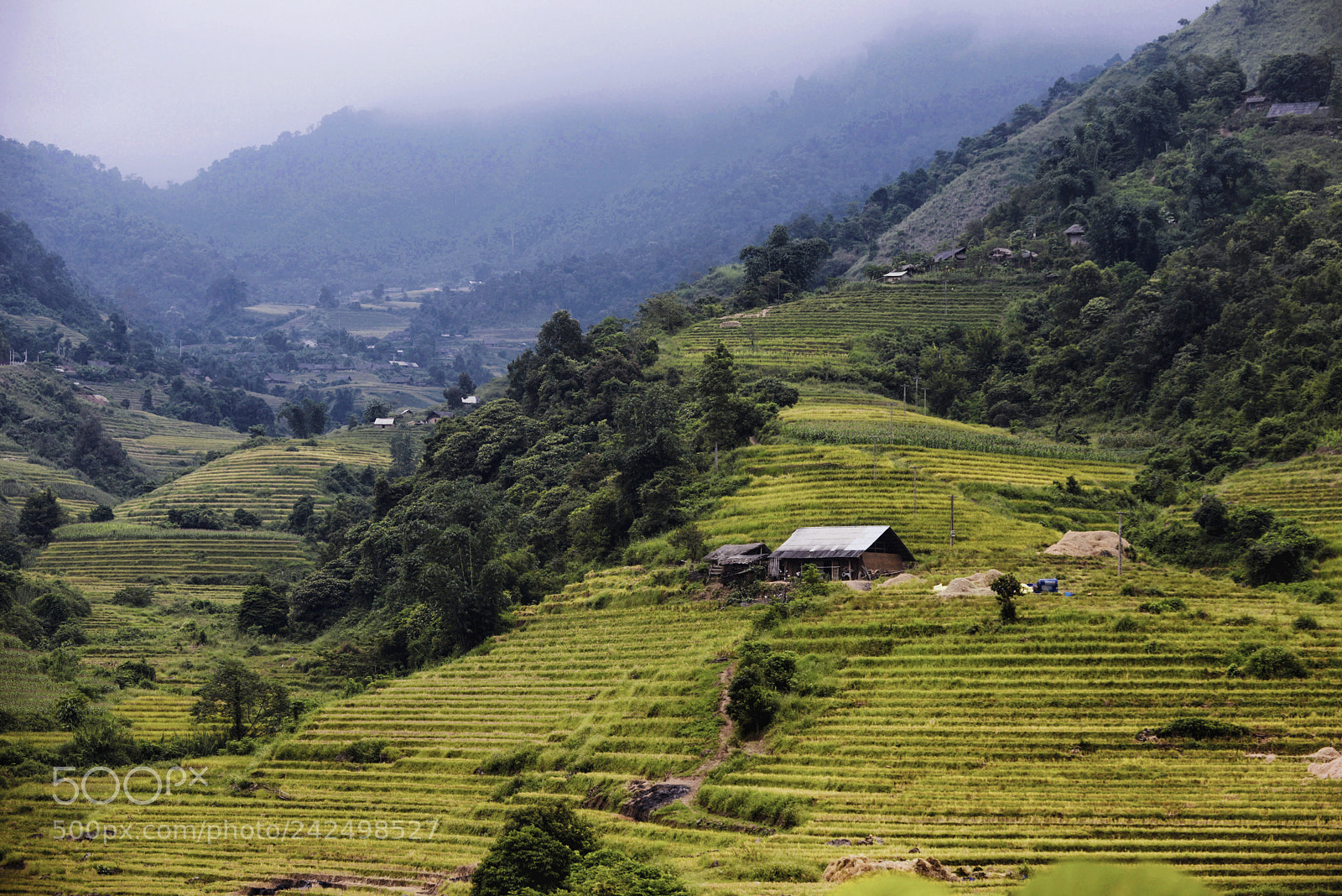 Nikon D800 sample photo. Typical accommodation in vietnam photography
