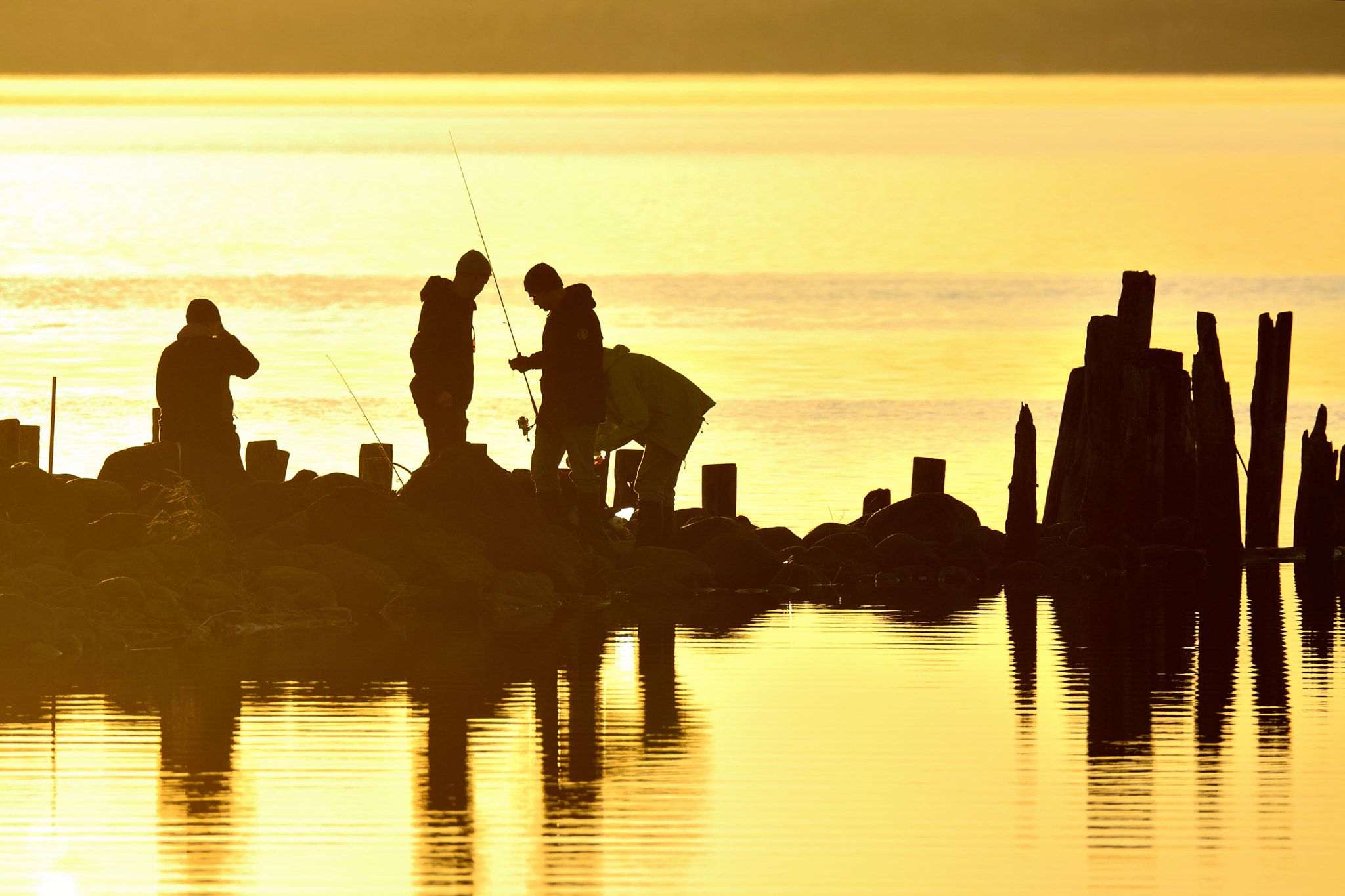 Sigma 150-600mm F5-6.3 DG OS HSM | S sample photo. Fishing photography