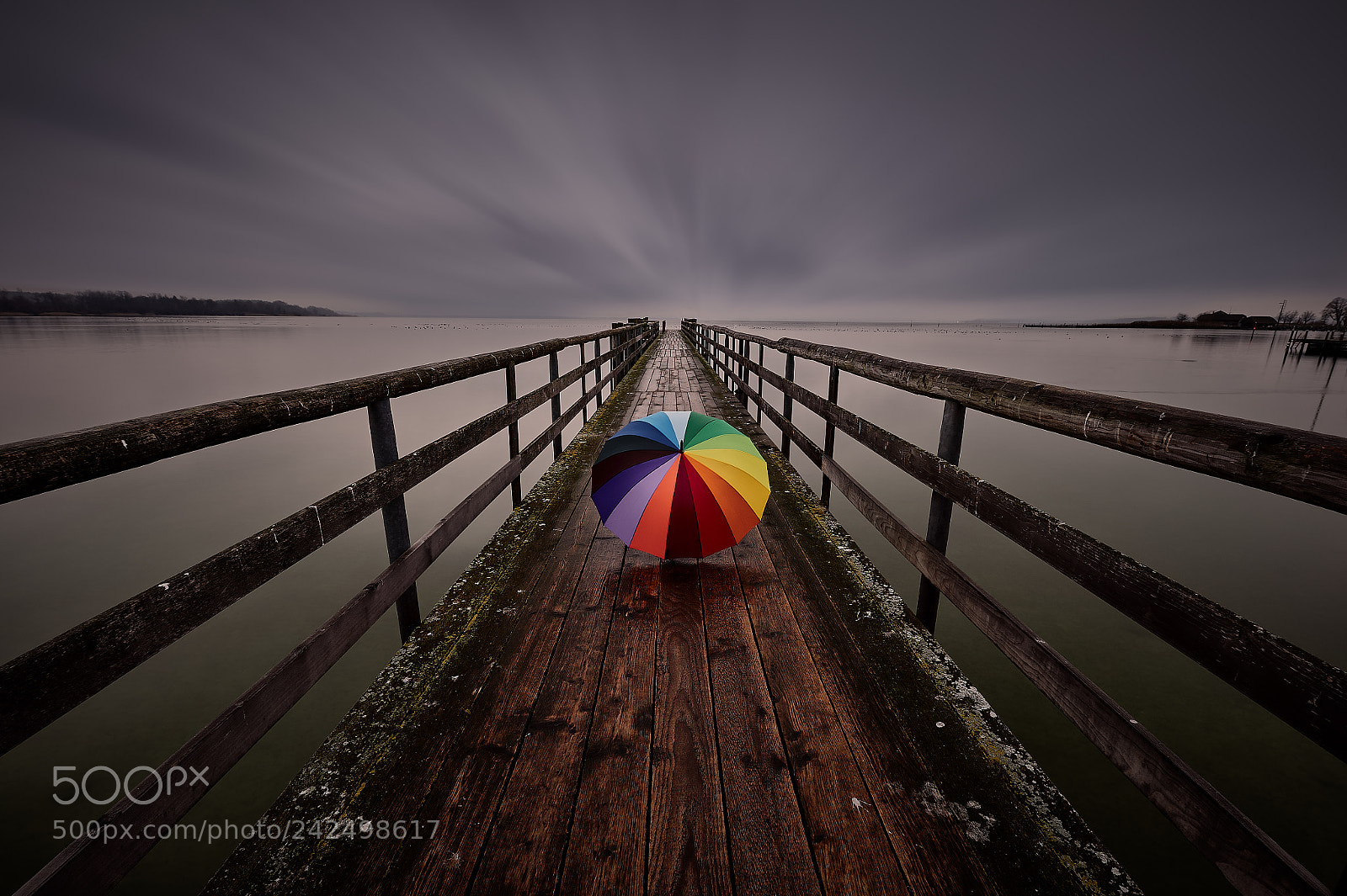 Nikon D4S sample photo. Umbrella photography