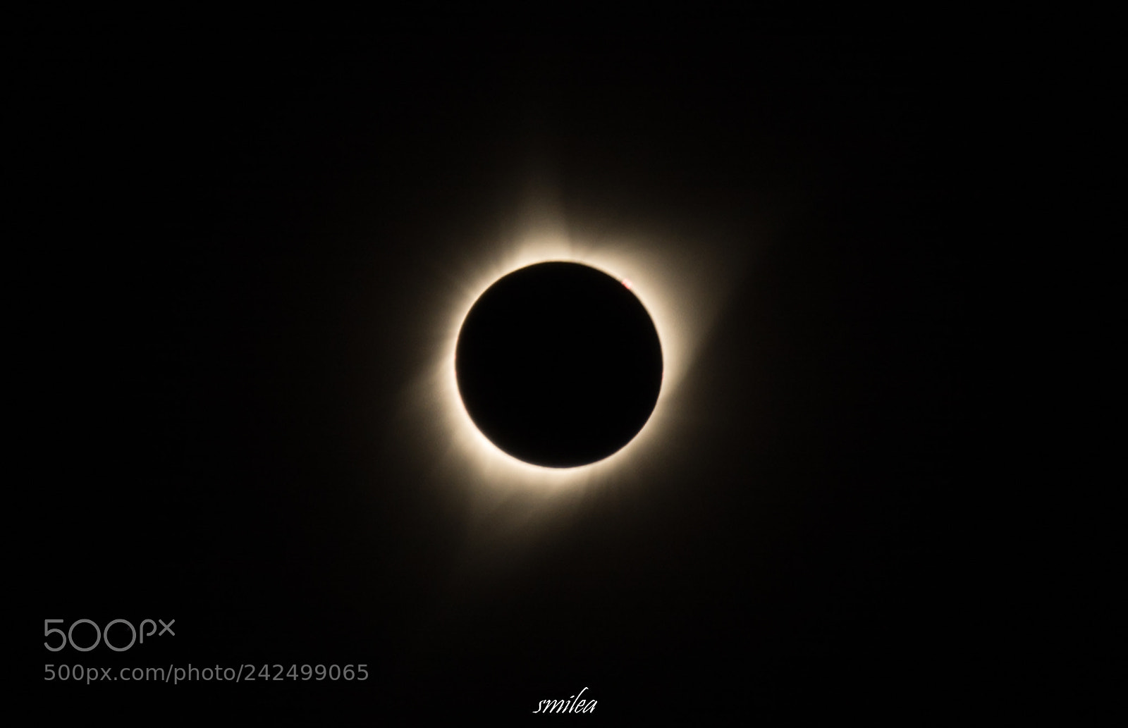 Nikon D7100 sample photo. Total solar eclipse usa 2017 photography