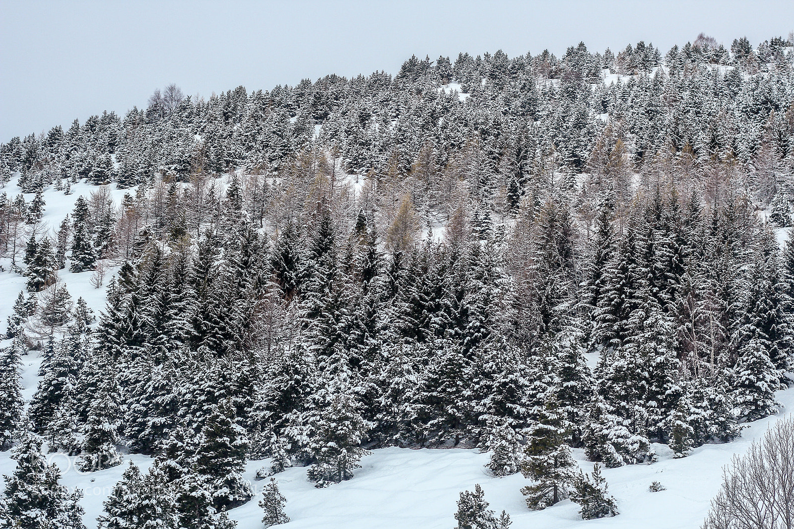 Canon EOS 60D sample photo. White coat photography
