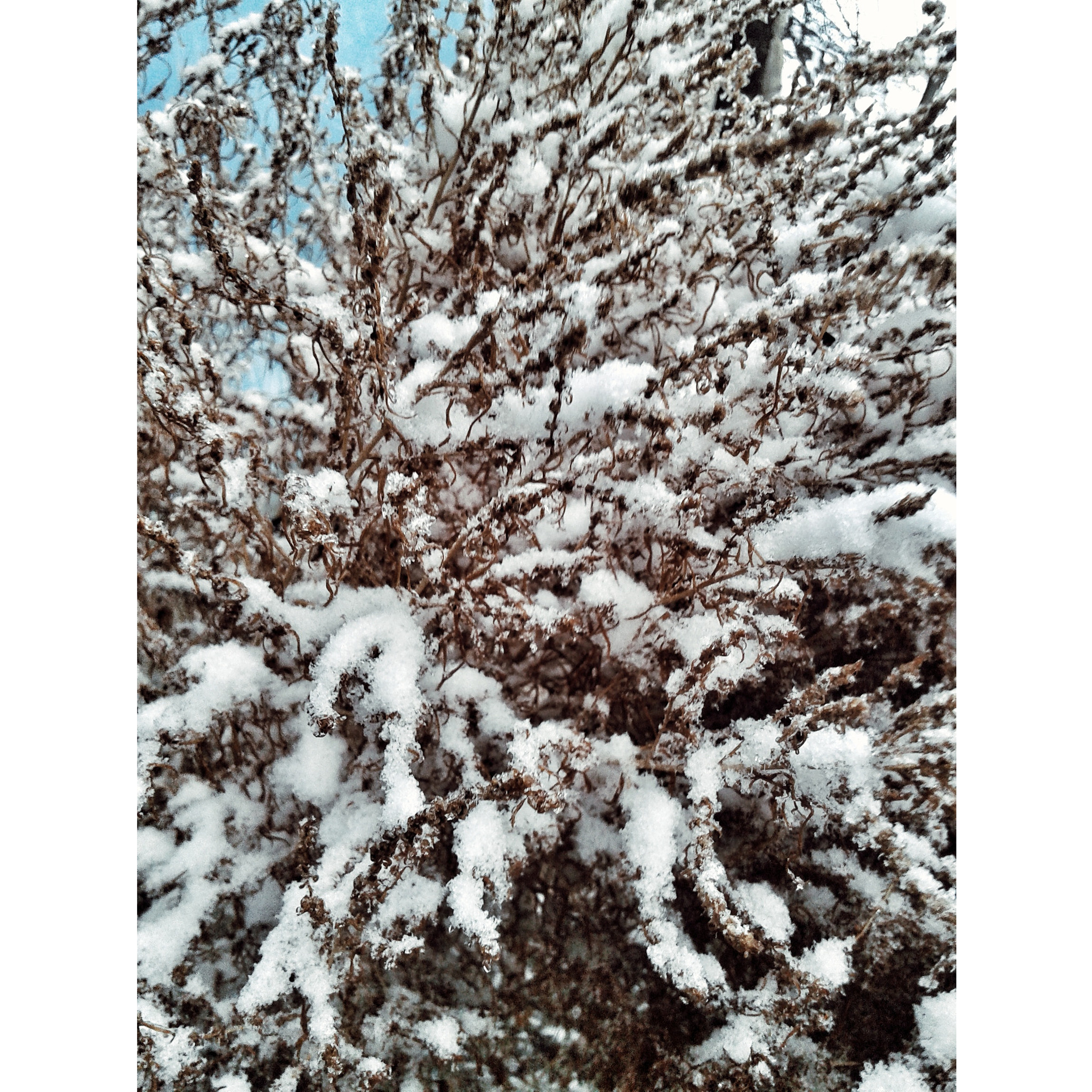 Samsung Galaxy Core sample photo. Love this season ♥ photography