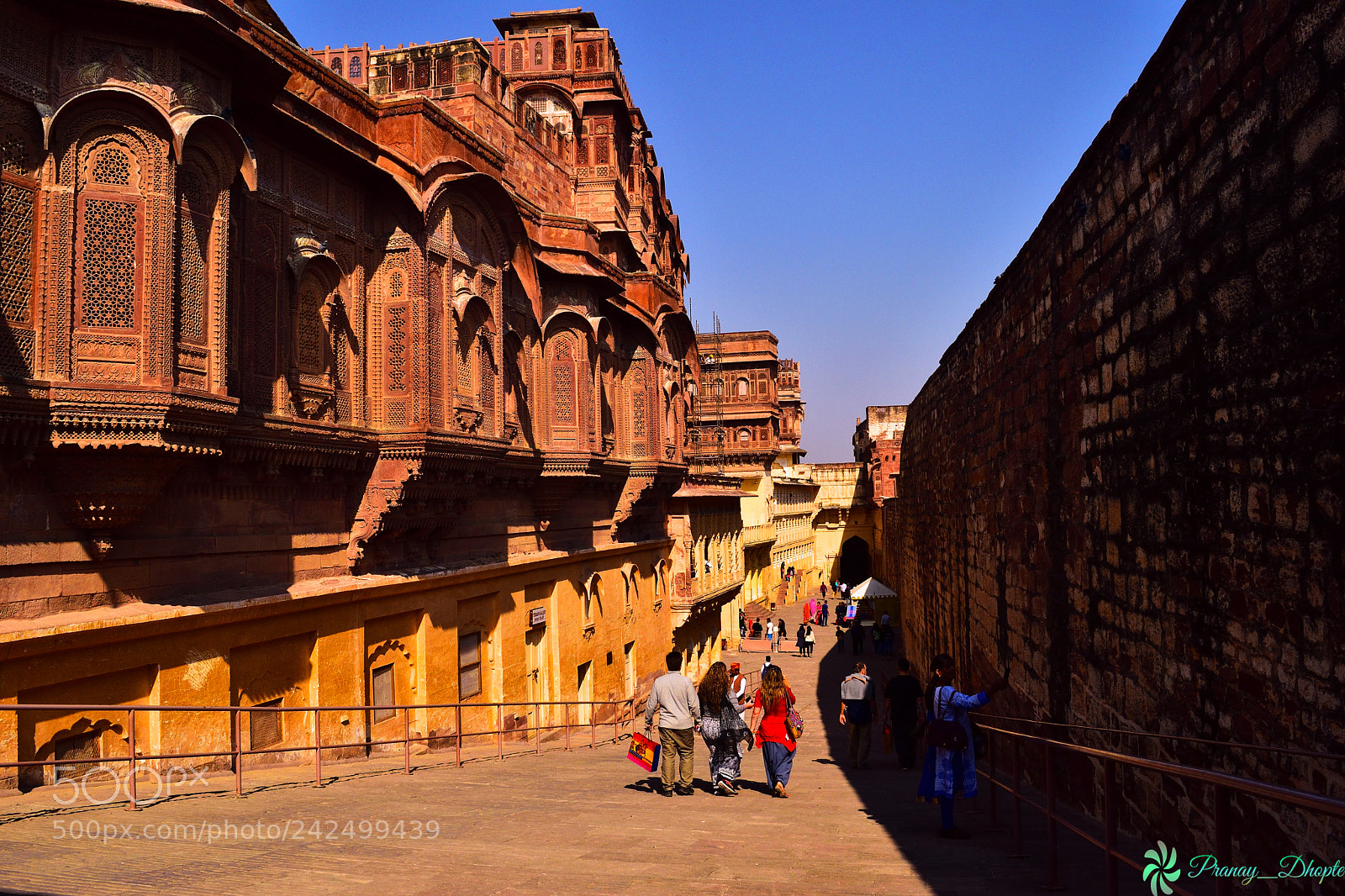 Nikon D5500 sample photo. India is full of photography