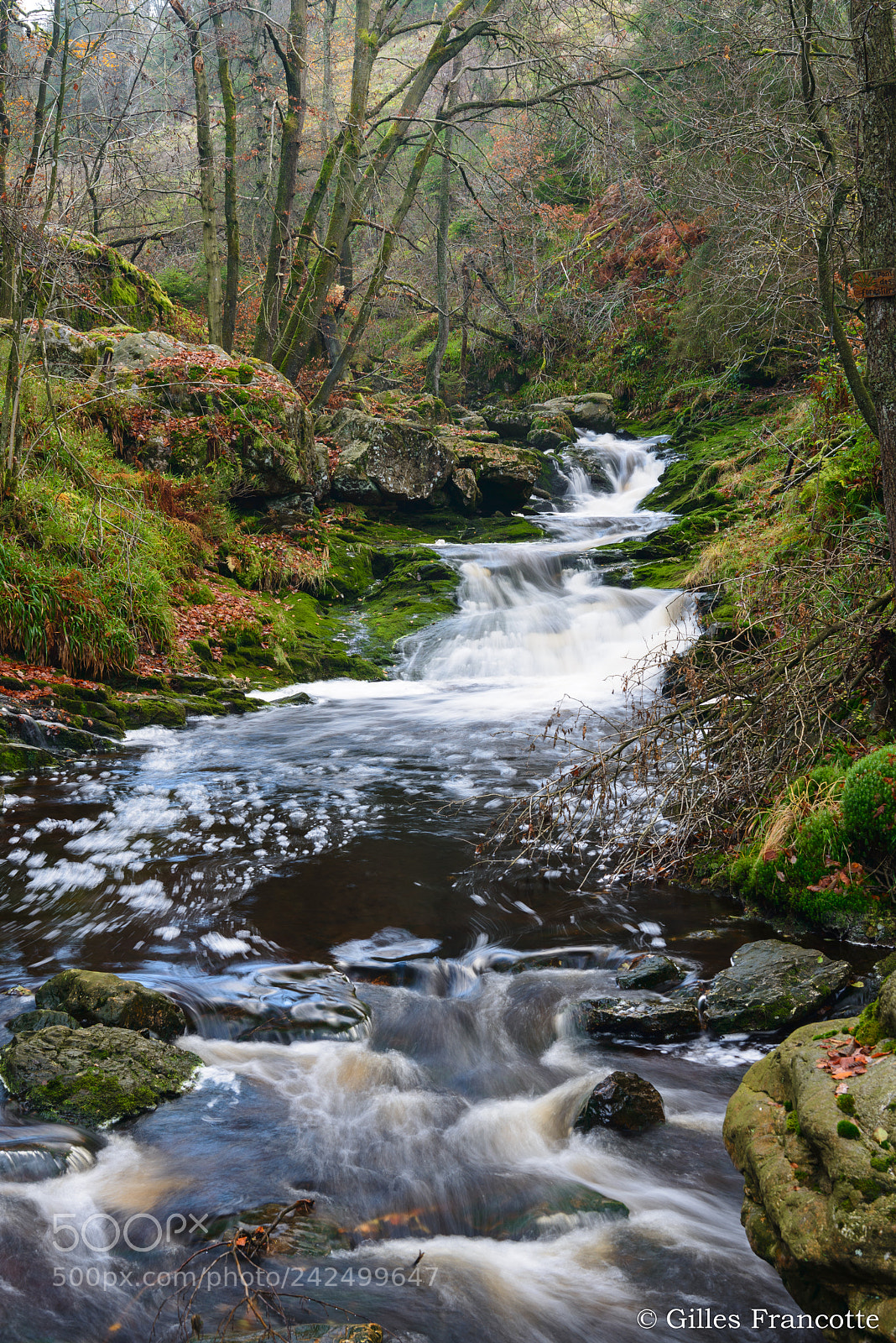 Nikon D800 sample photo. Hoëgne river. photography