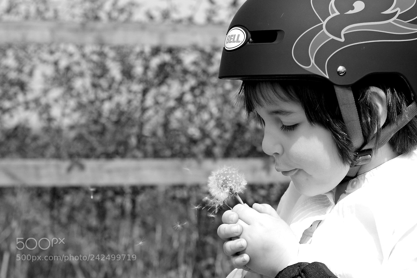 Canon EOS 40D sample photo. Dandelion photography