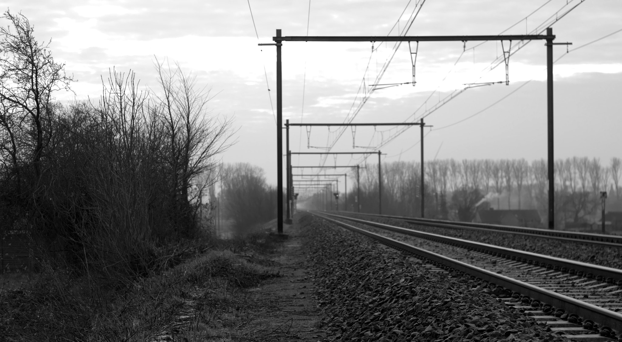 Canon EOS 500D (EOS Rebel T1i / EOS Kiss X3) + Canon EF 50mm F1.8 II sample photo. Rails photography
