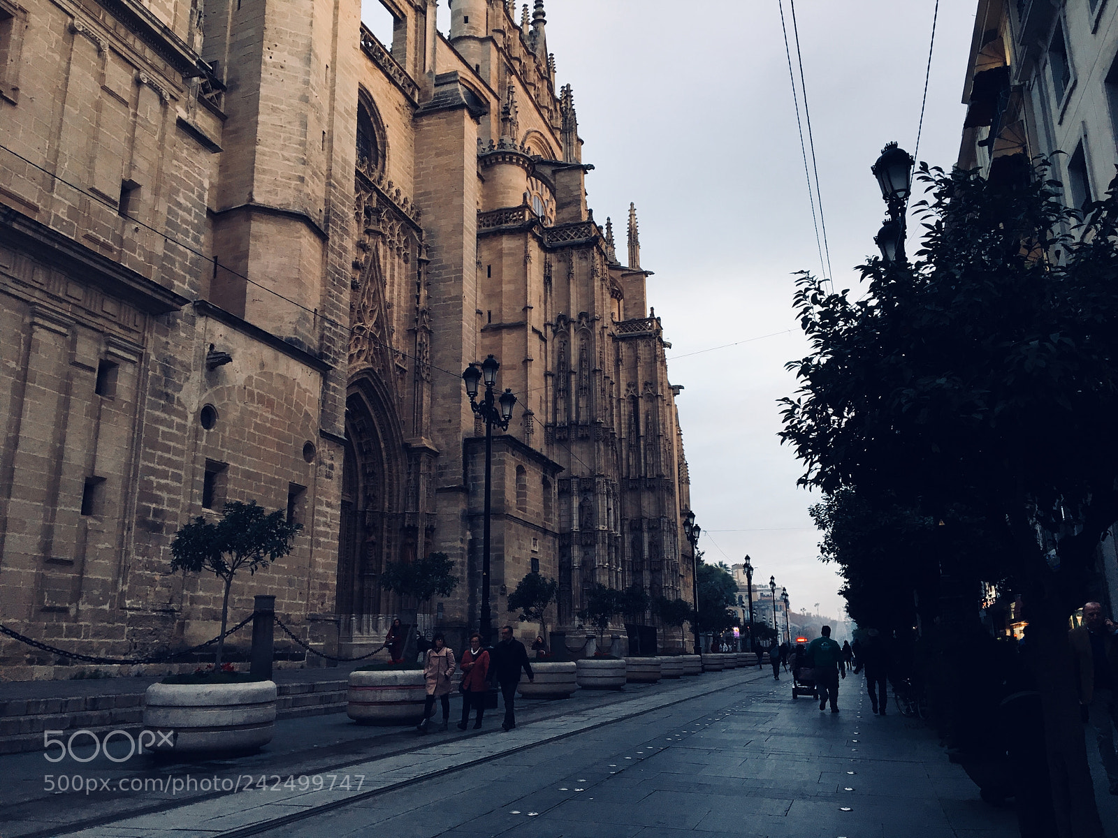 Apple iPhone 6s sample photo. Untitled photography