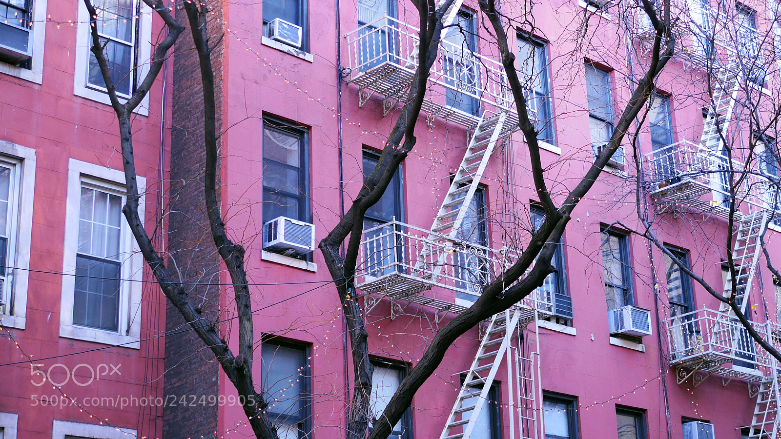 Panasonic Lumix DMC-GH3 sample photo. Pinks photography
