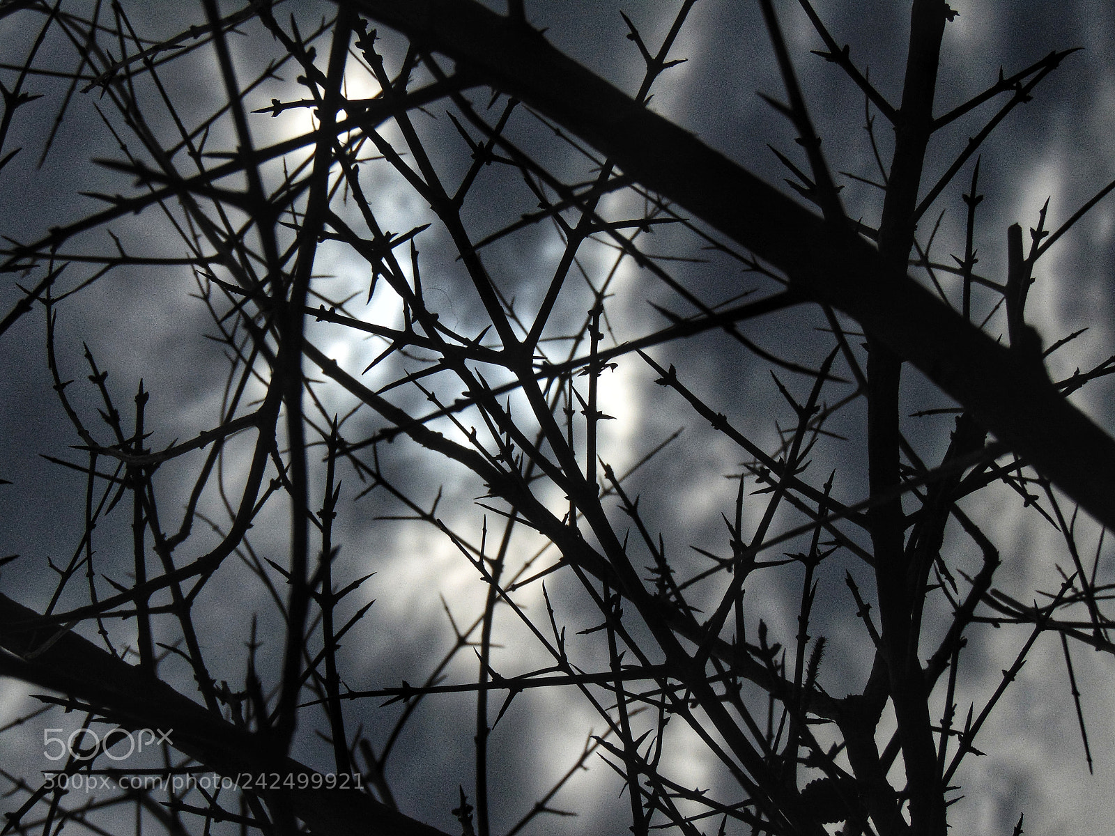 Sony Cyber-shot DSC-H300 sample photo. Darkness photography