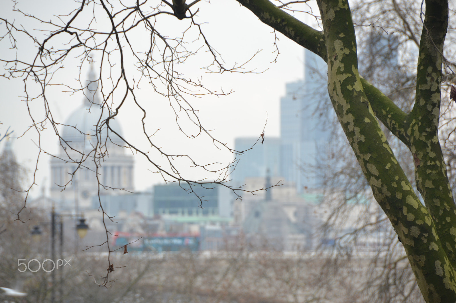 Nikon D3100 sample photo. Stpaulscity photography