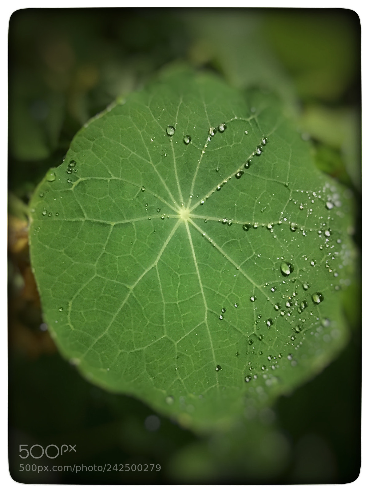 Apple iPhone 6s sample photo. Untitled photography
