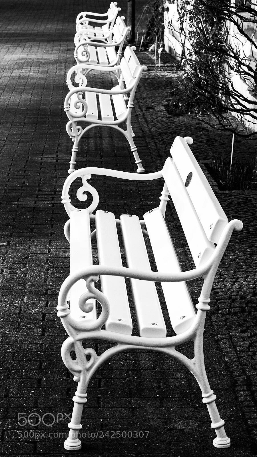 Pentax K-1 sample photo. White bench photography