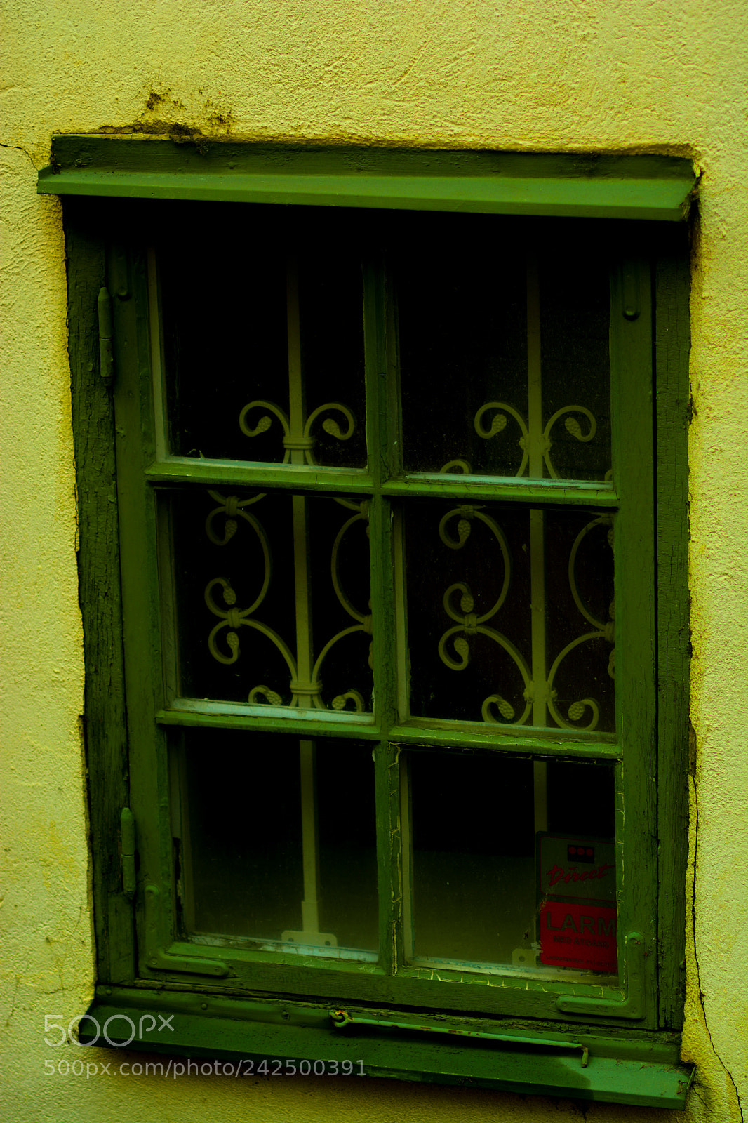 Nikon D7100 sample photo. A green window not photography