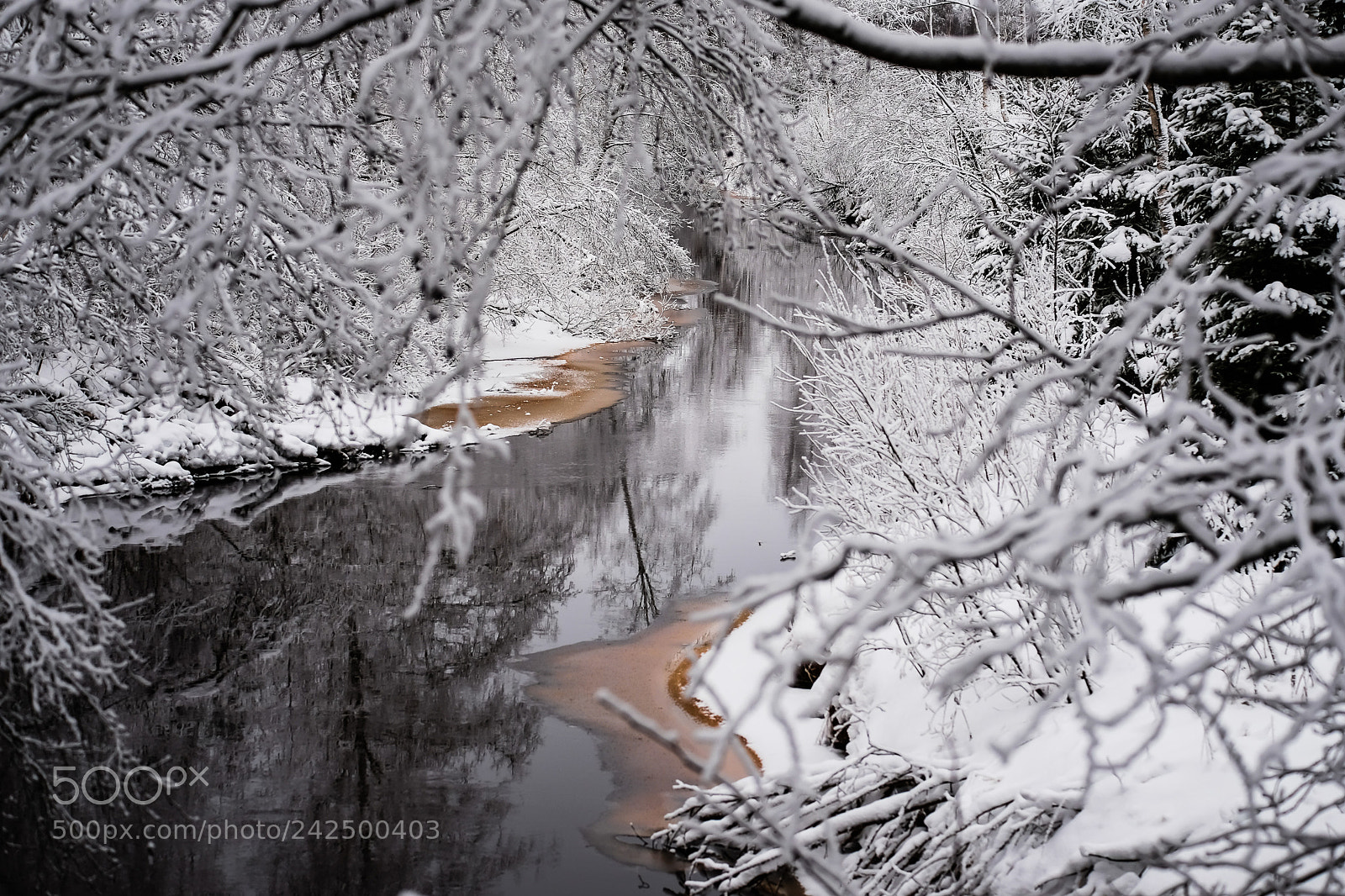 Fujifilm X-T20 sample photo. Winter reflections photography