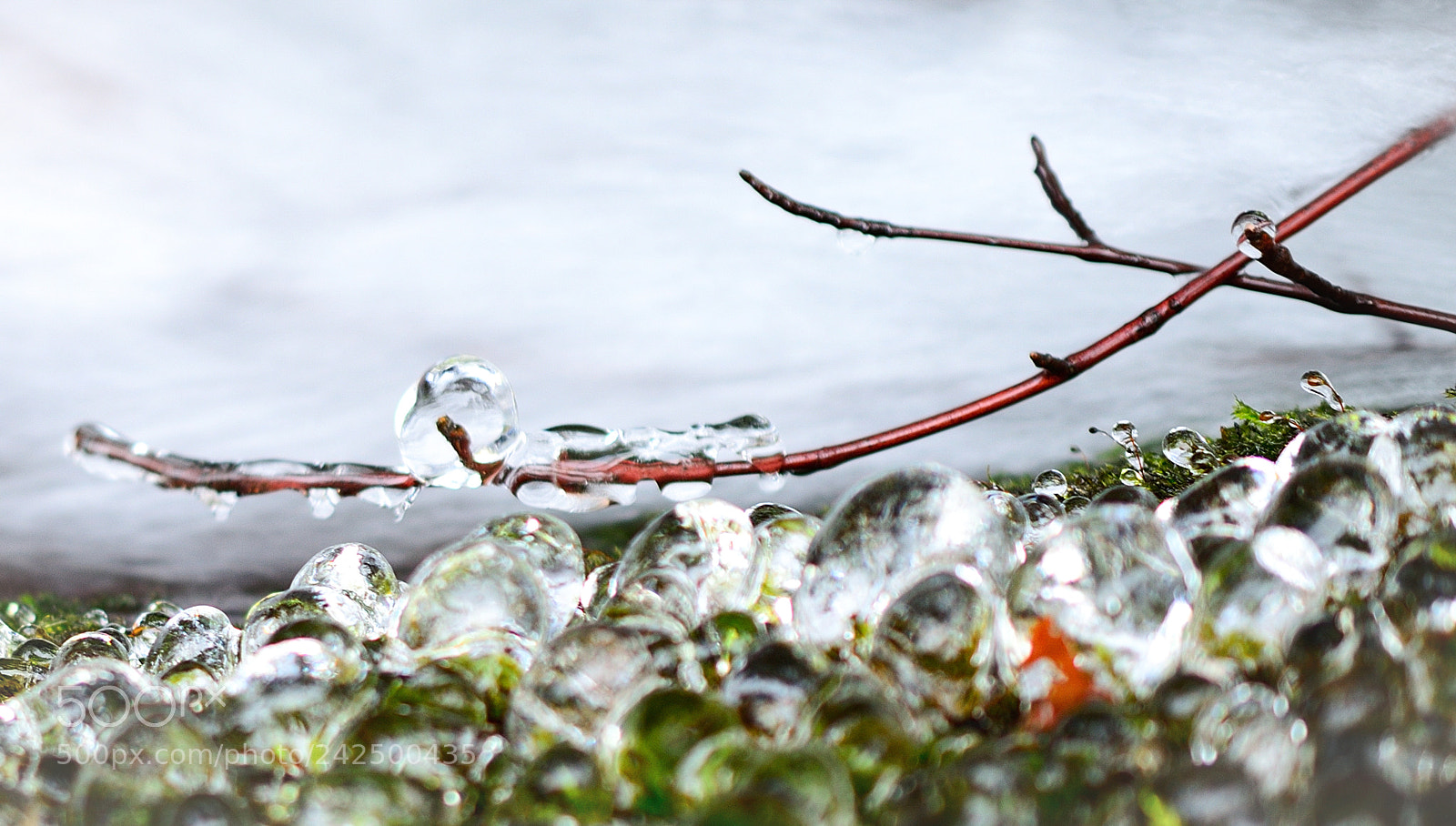 Nikon D3200 sample photo. * by the river * photography