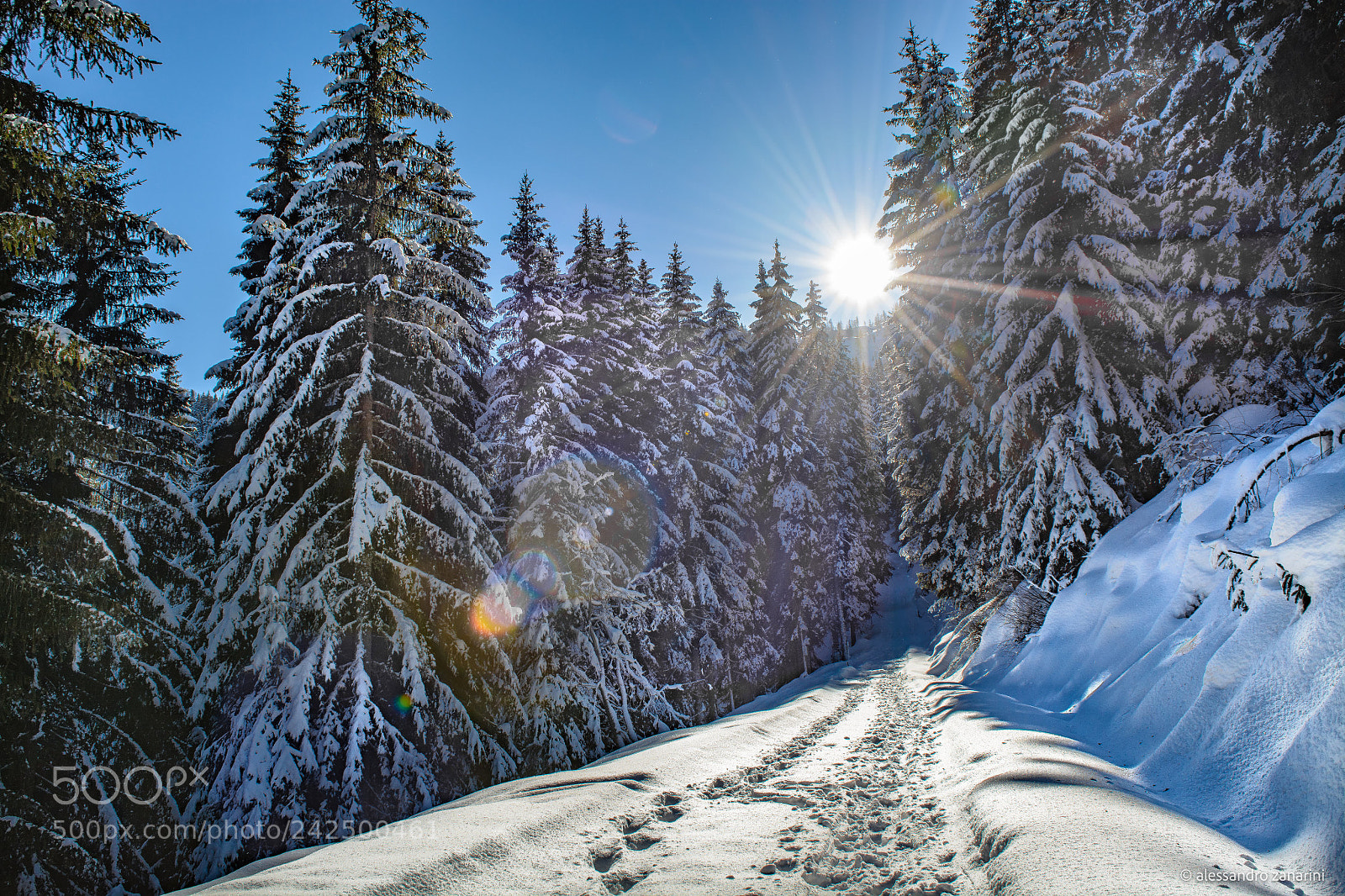 Nikon D7100 sample photo. Sun on the snow photography