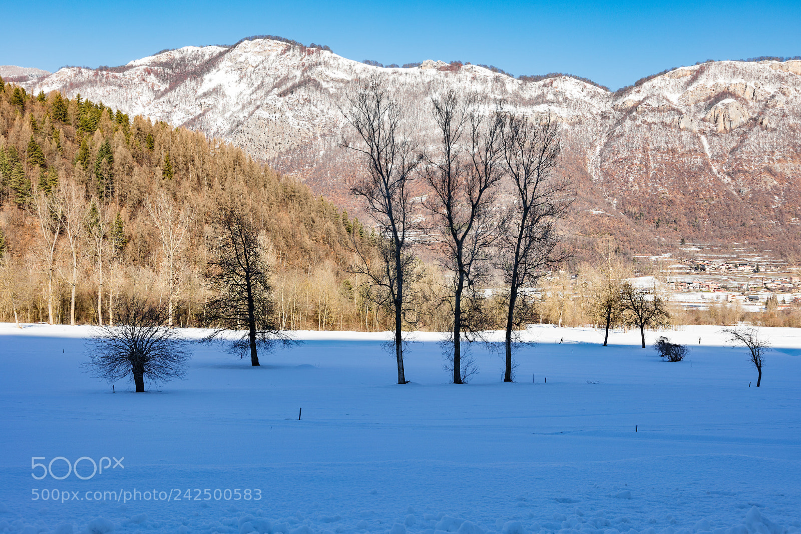 Canon EOS 5DS R sample photo. Siluette photography